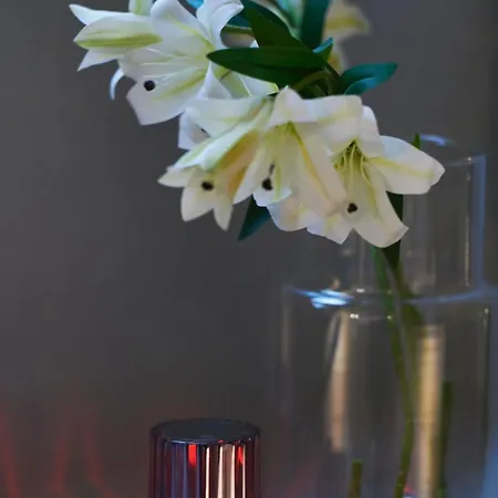 1 Bedroom - Zentral - Terrasse - Kaffee - Business - Wifi - Kueche 아파트 비스바덴