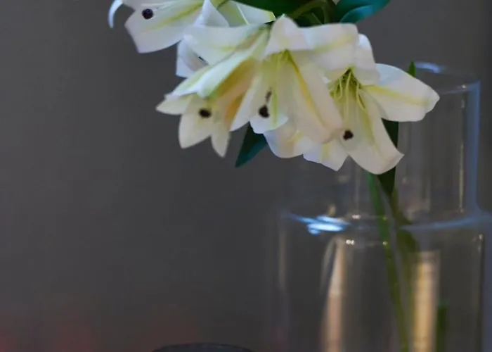 1 Bedroom - Zentral - Terrasse - Kaffee - Business - Wifi - Kueche 아파트 비스바덴